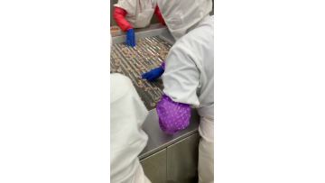 Shrimp meat feeding and output
