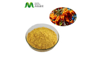 Wholesale Price Natural Organic Freeze Dried Seabuckthorn Powder Sea Buckthorn Extract1