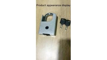 106 fingprint padlock