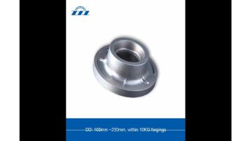 Hub Bearing Unit