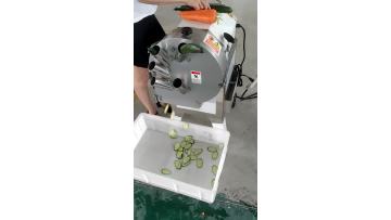 Fruit and vegetable slicing machine cucumber slice