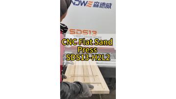 SDS13-H2_intelligent_scanning_sander.mp4