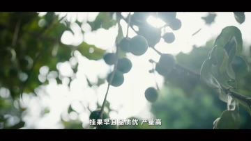 Company promotional video