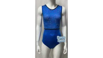 Royal blue leotards