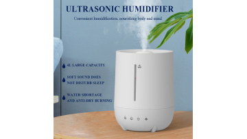 4L Humidifier Video Demo