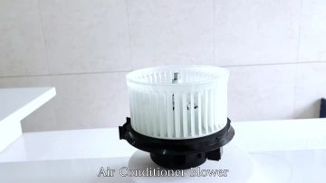 G11067 blower motor