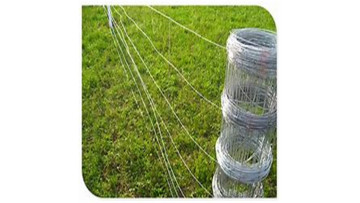 sheep farming wholesale bulk cattle fence live stock fencing1