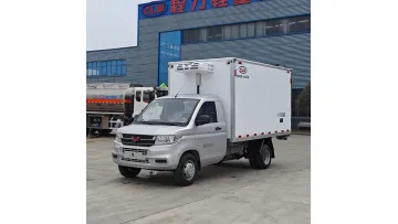 Cost-Effective Wuling 4X2 Mini Refrigerated Van Truck1