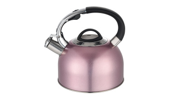 FH-579  stainless steel purple teapot