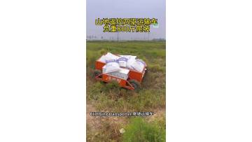 Steep Climbing transporter