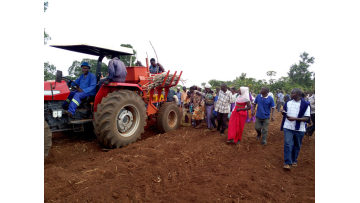 Ridge-type manioc planter