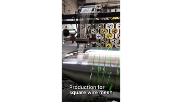 galvanized square wire mesh  for mosquito net sieves1