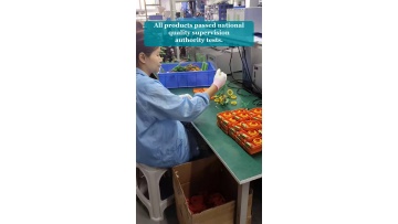 Video 5