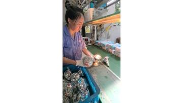 Bulb Power-On Testing