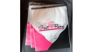 Custom Logo Slide Frosted Zipper Plastic Bag Clothing T-shirt Poly Zip lock Bag With Logo1