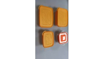 mould manufacturing company and injection molding  Plastic Lunch Bento Box/Food Containers/Food Storage plastic mould1