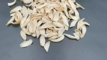 dried lily bulb