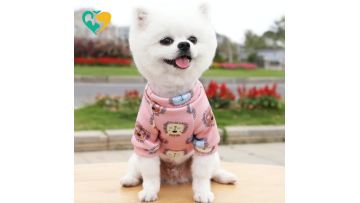 kawaii dog hoodie