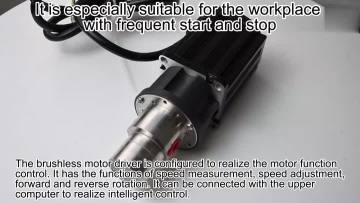 0.60cc Gear pump