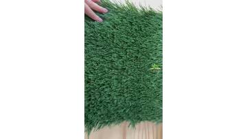 dark green soccer grass with wool