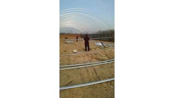 greenhouse