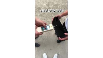 elasticity test