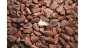 Delicious Roasted Pine Nuts