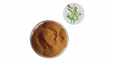 Belladonna powdered extract