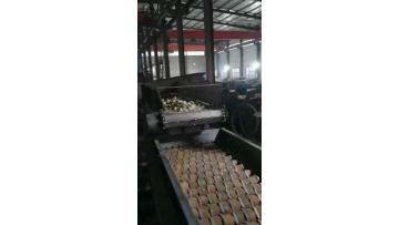 Mud And Stone Separator