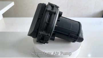 BJ-9207 Secondary Air Pump