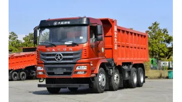 New Arrival Dayun 8X4 6.2m 21.85cbm Dump Truck1