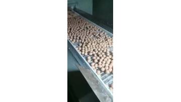 Stewed Beef Meatballs freezon process