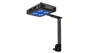 saltwater led light