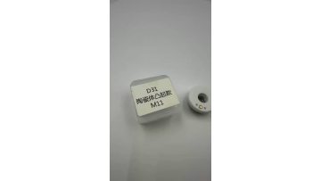 Laser Ceramic Holder D31M11
