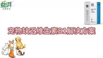 Reishi Mushroom with Vitamin B1 for Pets