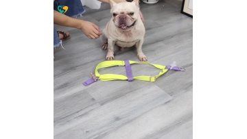 Yellow Durable Dog Harness