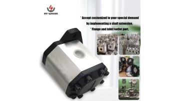 BHP1 Aluminum Alloy Body Gear Pump