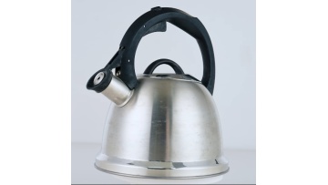 Stainless steel whistle kettle FH-471