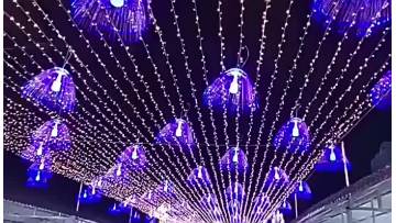Street scenic area decorative lights
