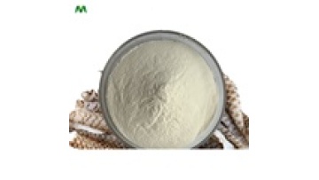 Halal Hydrolyzed Fish Collagen Powder1