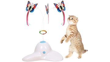 Funny cat toy