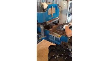 Rubber Compression Molding Machine