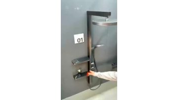 bathroom shower7