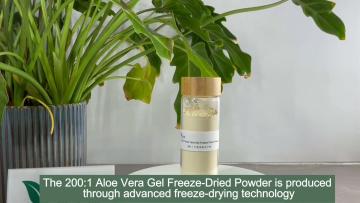 200:1 Aloe Barbadensis Gel Freeze Dried Powder