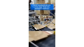 Video 15