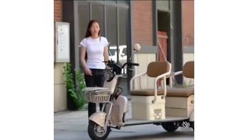 Household commuting electric tricycle