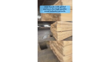 Video 115