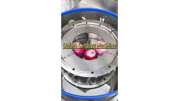 2000kg/h onion cutting machine