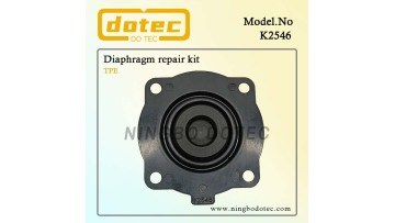 K2546 diaphragm