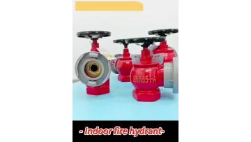 Indoor fire hydrants